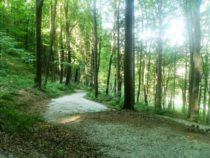 Apartmani Ramonda Teslić エクステリア 写真